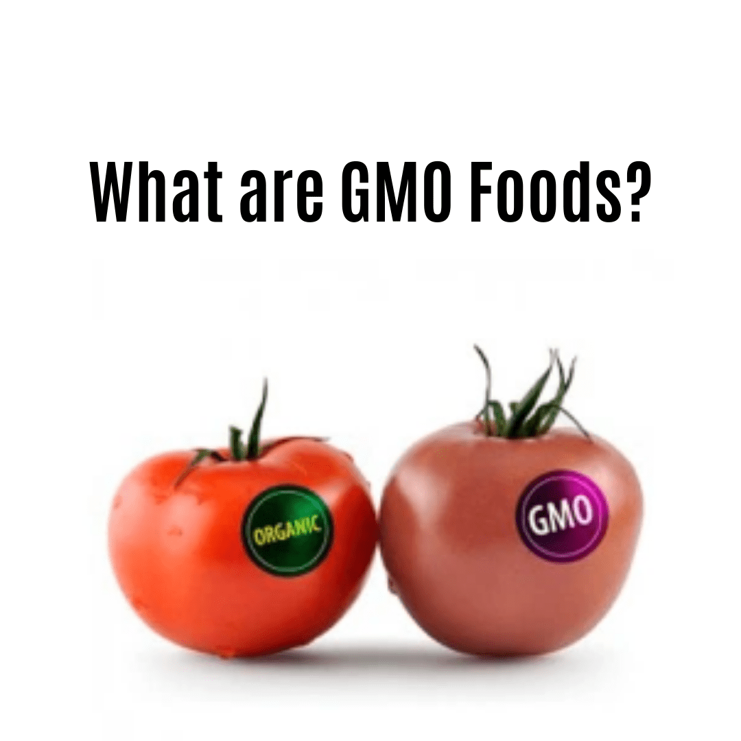 What are GMO Foods?