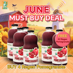 [Bundle of 4]REGEN 100% Organic Pomegranate Juice 石榴汁 –Cholesterol, Heart & Skin Support, Jus Delima Organik