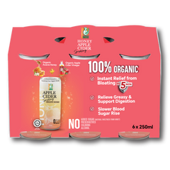 [Bundle of 6] Honey Apple Cider Sparkling Drink 250ml