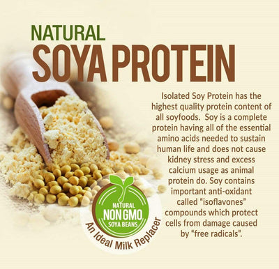 Radiant Natural Soya Protein Powder (Non-GMO)